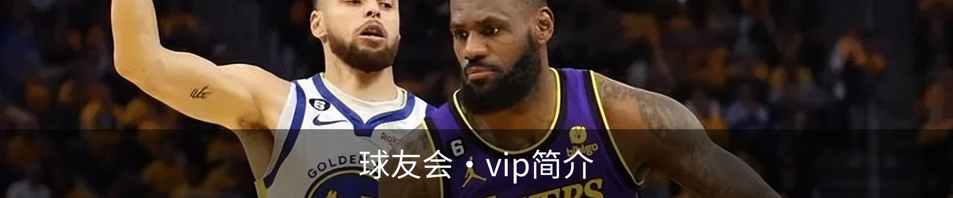 球友会·vip简介